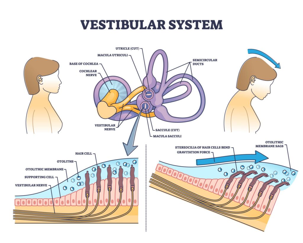 Vertigo Relief